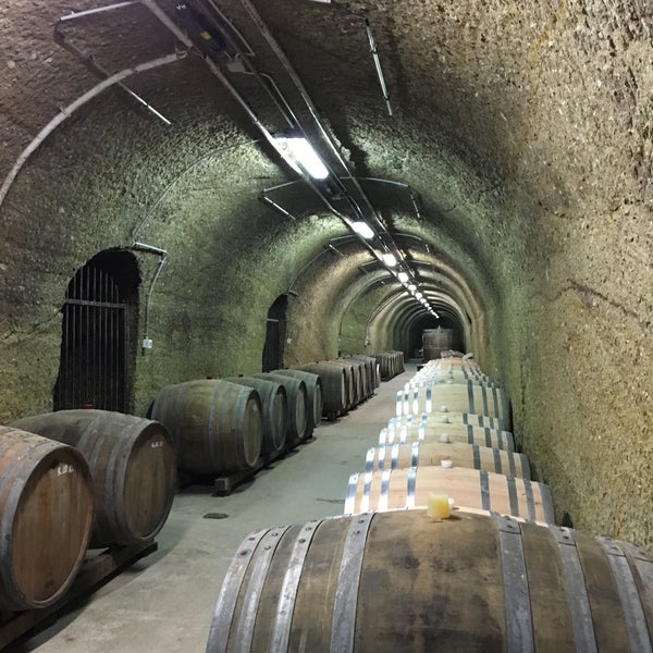 St. Andrea Pinceszet Winery