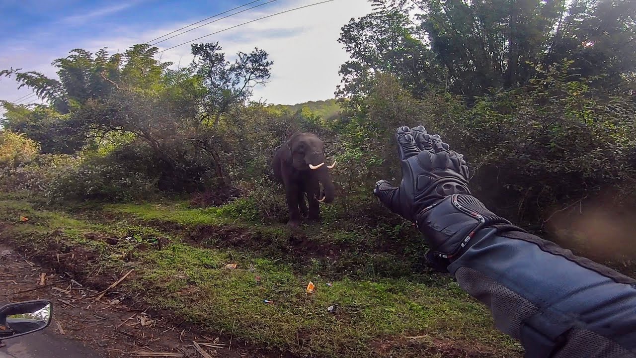 Sathyamangalam Tiger Reserve