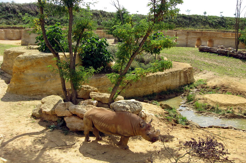 Bioparc De Doué La Fontaine