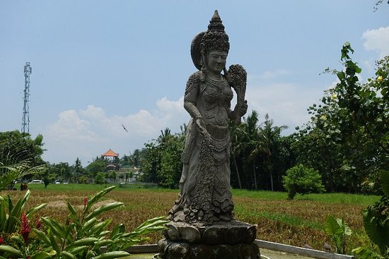Tour Bali Drivers