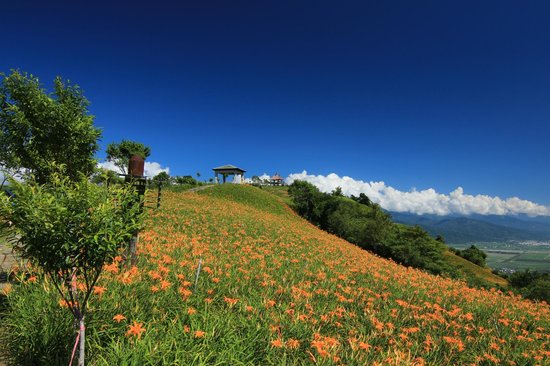 Sixty Stone Mountain - Mt. Liushidan