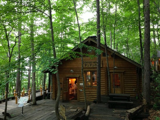 Outdoor Pictures 1