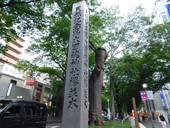 The road lined with Japanese Zelkova near Babadaimon Gate