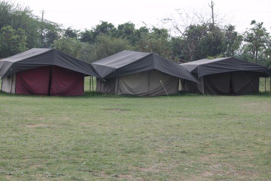 Camp Wild