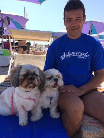 Islamorada - Dog Beach