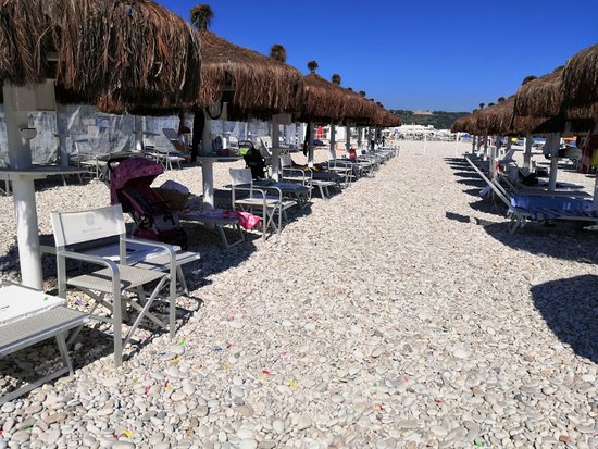 Supporter Beach