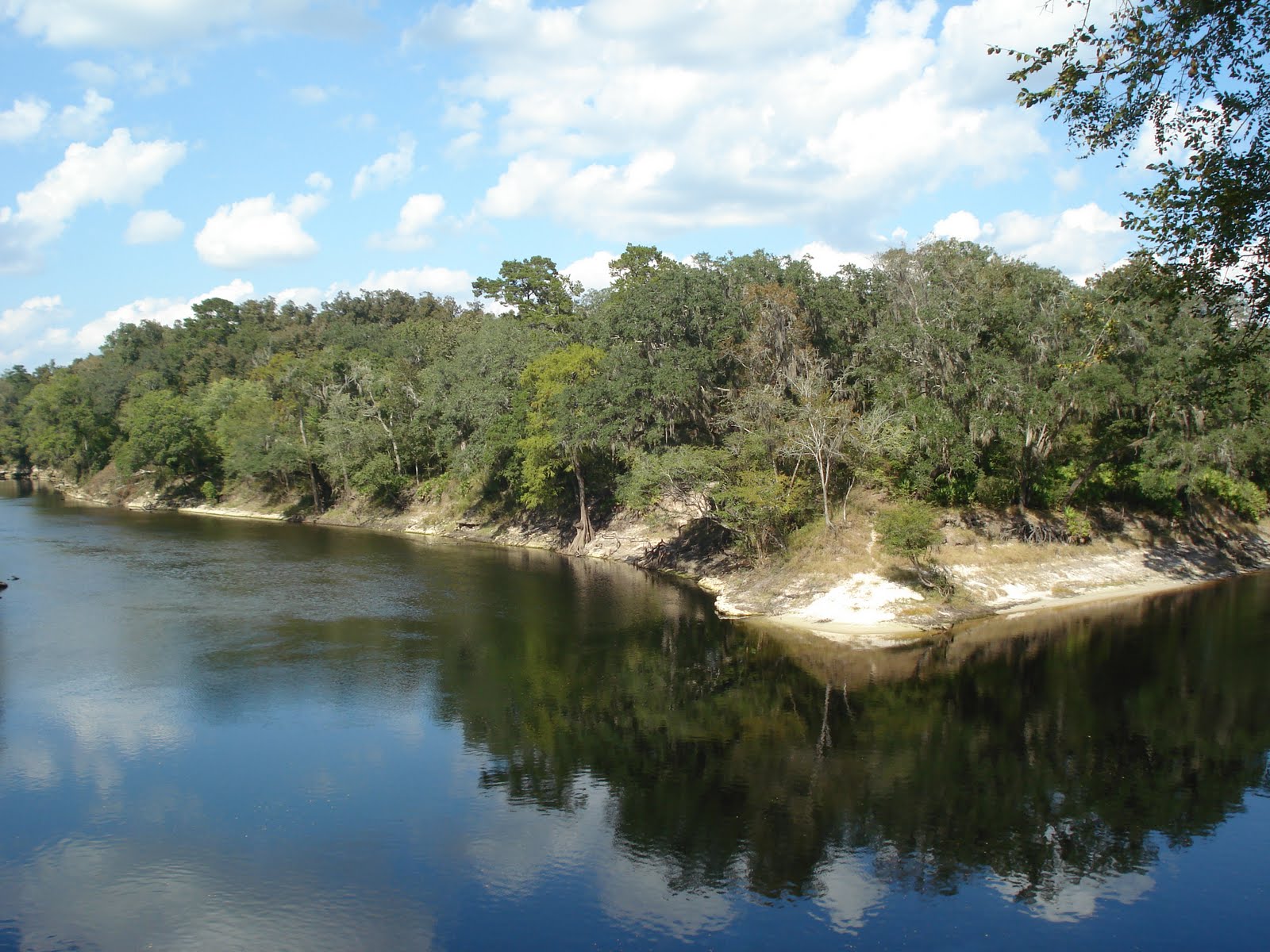 Suwannee River