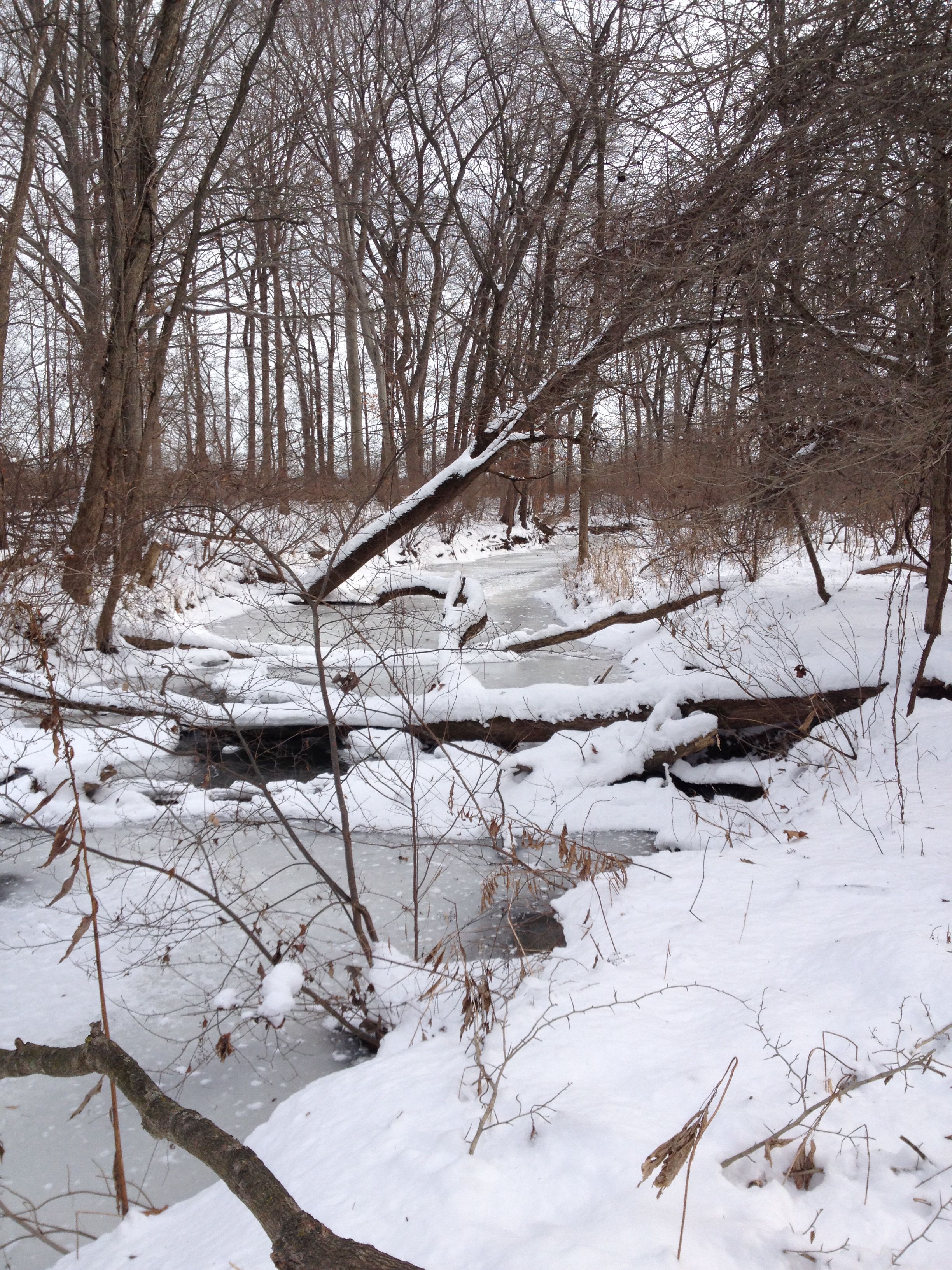 Coffee Creek Watershed Preserve