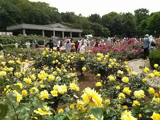 Jindai Botanical Park