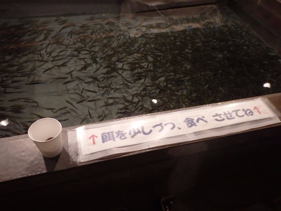 Chitose Sake Masu no Mori Sake Masu Johokan