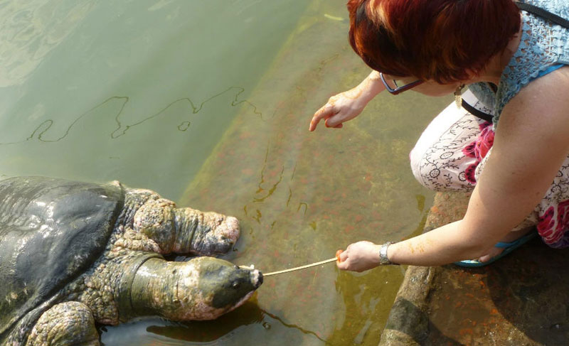 Bayazid Bostami Mazar