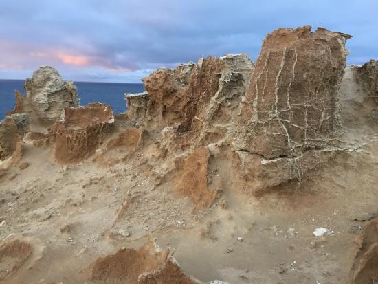Petrified Forest and Blowholes