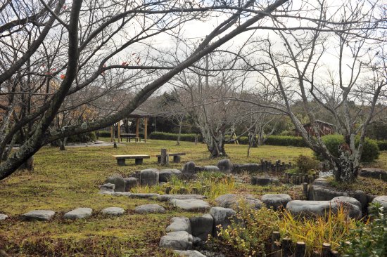 Nawa Park