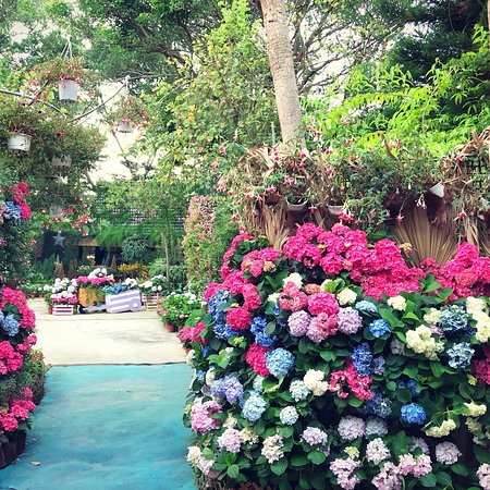 Hua Lou Farm