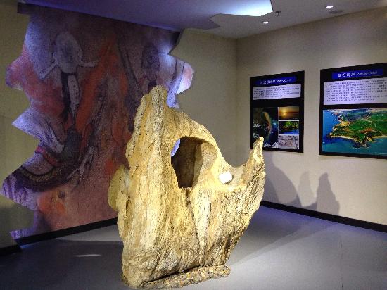 Jinshitan Geological Museum