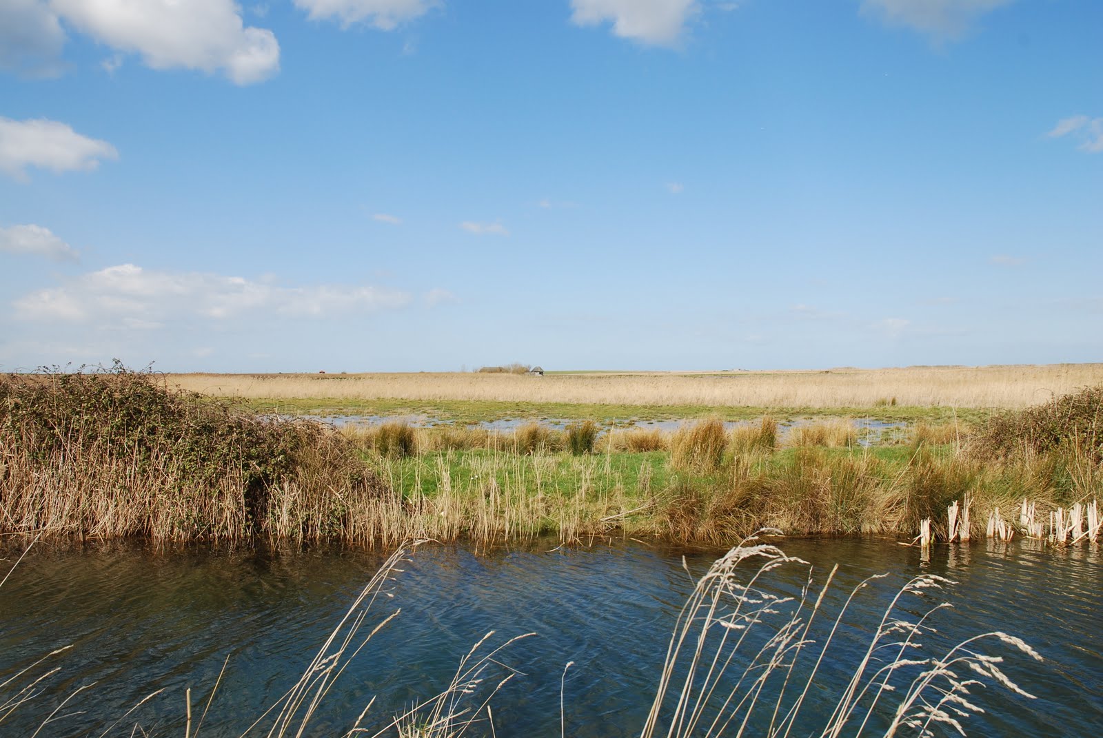 Cley Marshes Nature Reserve and Beach