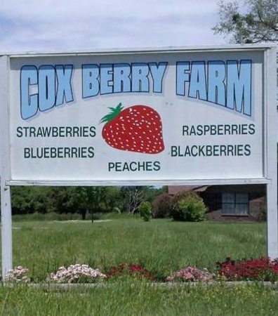 Cox Berry Farm & Nursery