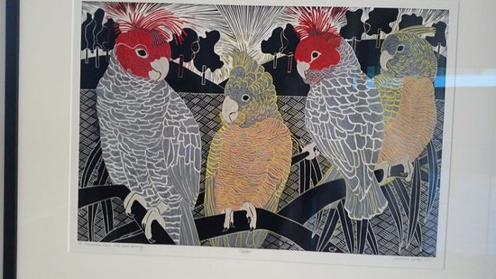 Wacky Bird Gallery