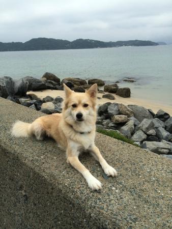 Kafuri Beach
