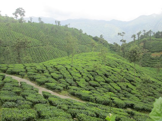 Thrissanku Hills