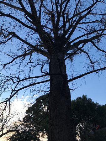 Outdoor Pictures 1