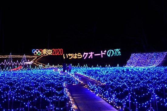 Ichihara Quard's Forest