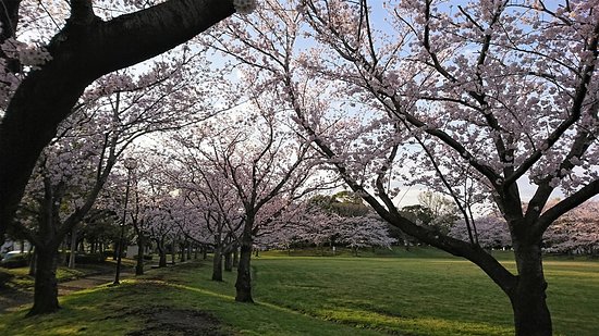 Outdoor Pictures 1