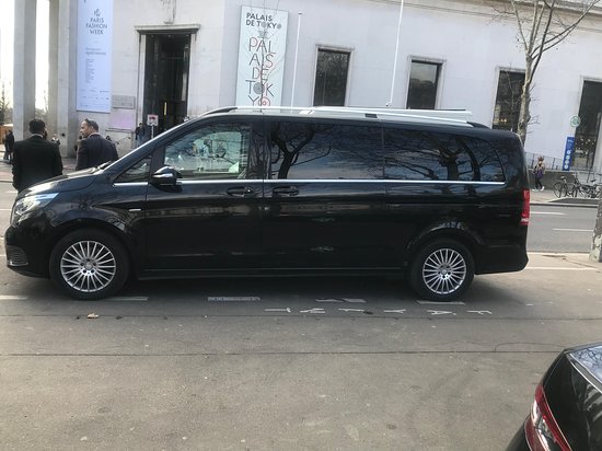 Chauffeur Cactus