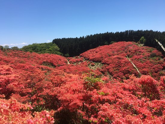 Katsuragi Sanroku Park