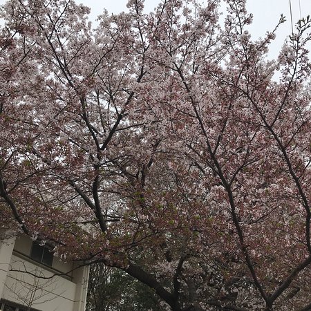 Nambu Park