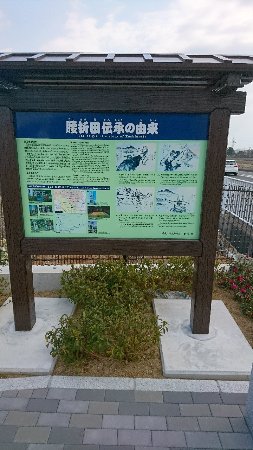 Sumo Hassho Denshochi Koshioreda