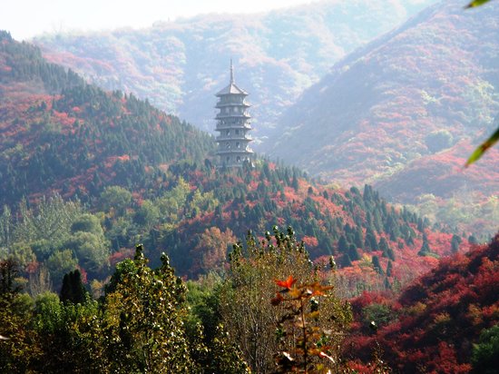 Red Leaf Valley