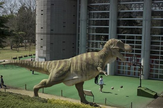Wanpaku Park