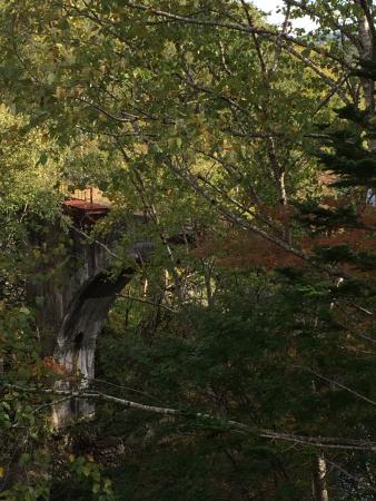 Daisan Otofukegawa Kyoryo Bridge