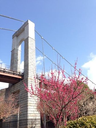 Outdoor Pictures 1