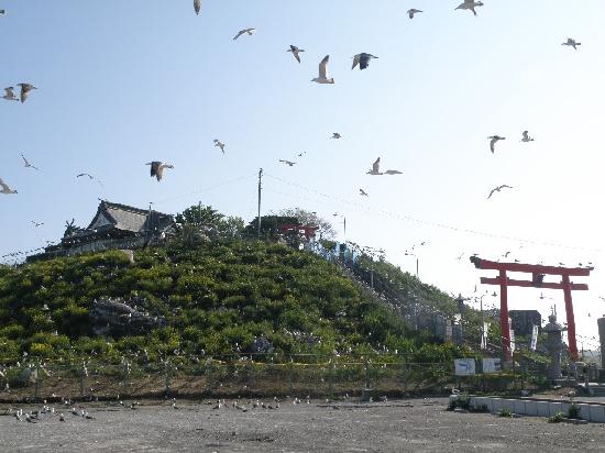 Kabushima Island