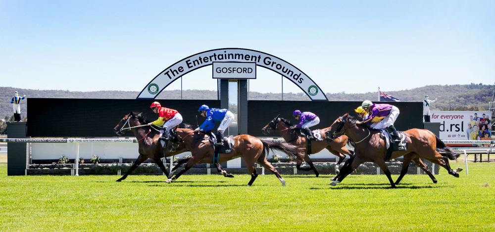 The Entertainment Grounds