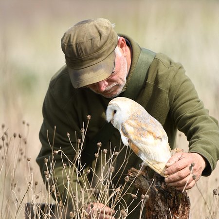 The Barn Owl Centre