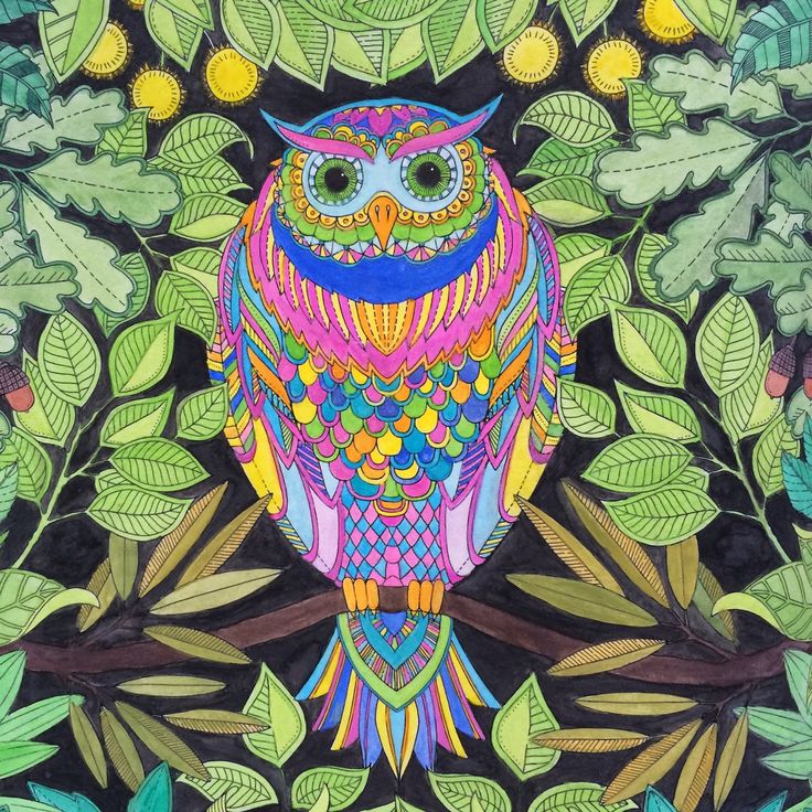 The Enchanted Owl