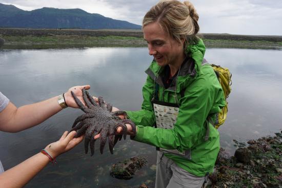 Center for Alaskan Coastal Studies