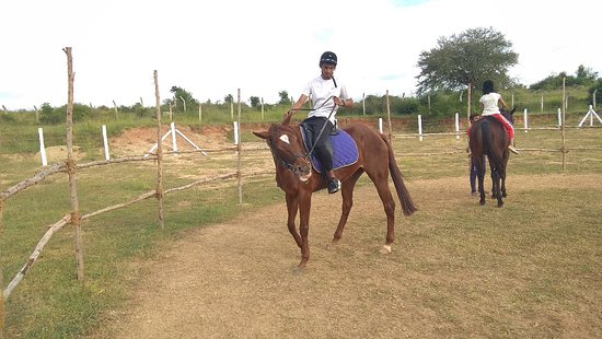 Stallion's Valley