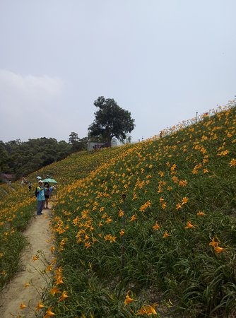 Huatan Hushan Mountain