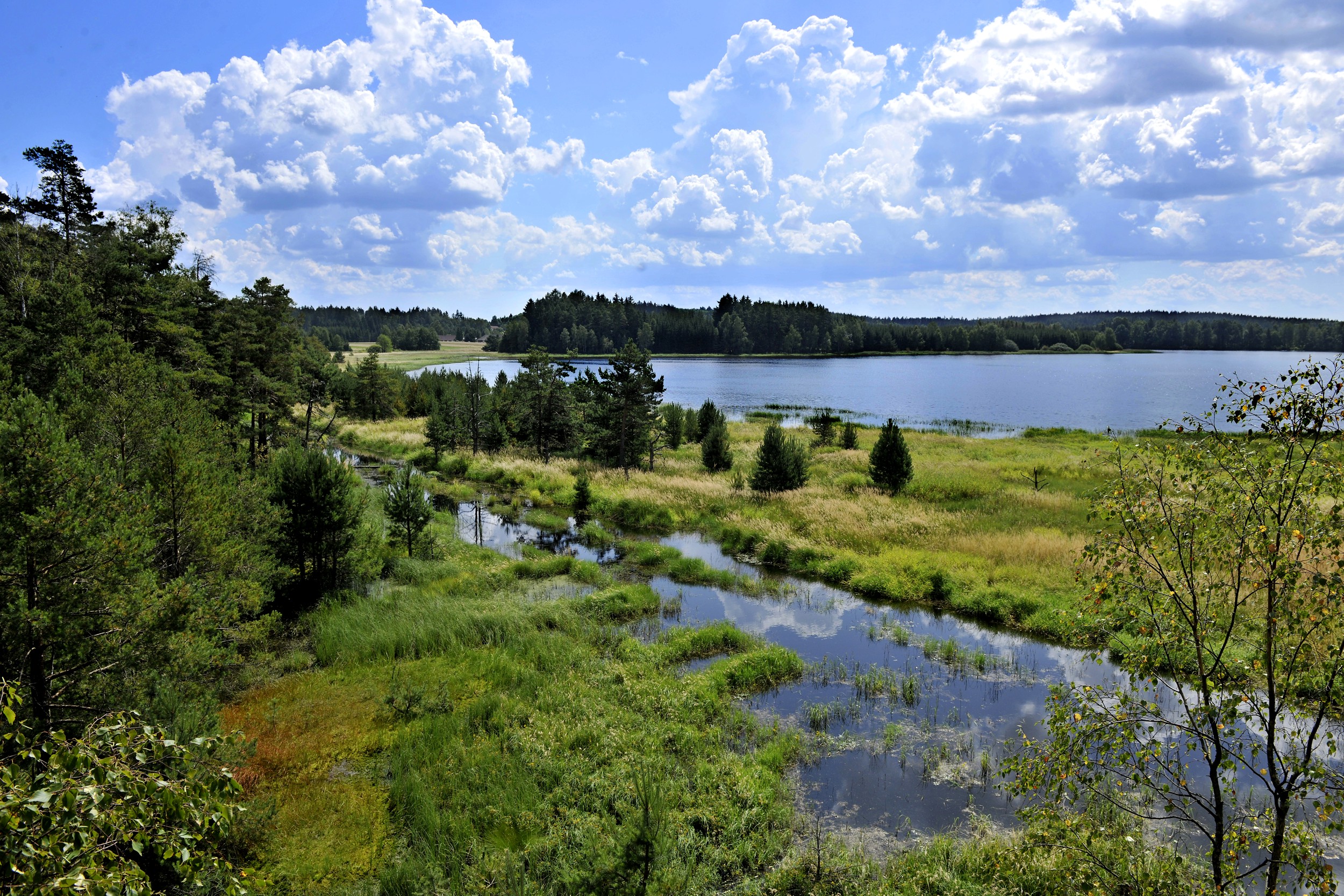 Naturpark Heidereichsteiner Moor
