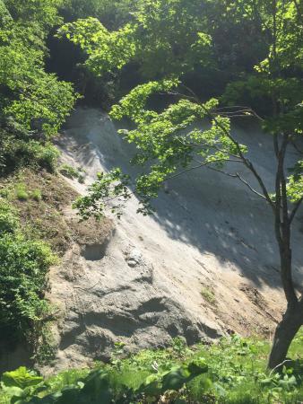 Shiroiwa Forest Park