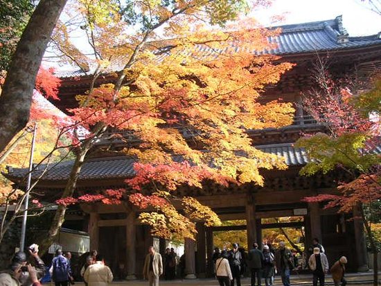 Eigenji Tourist Office