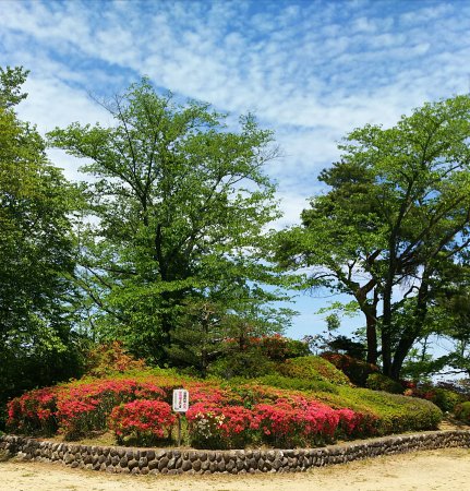 Outdoor Pictures 1