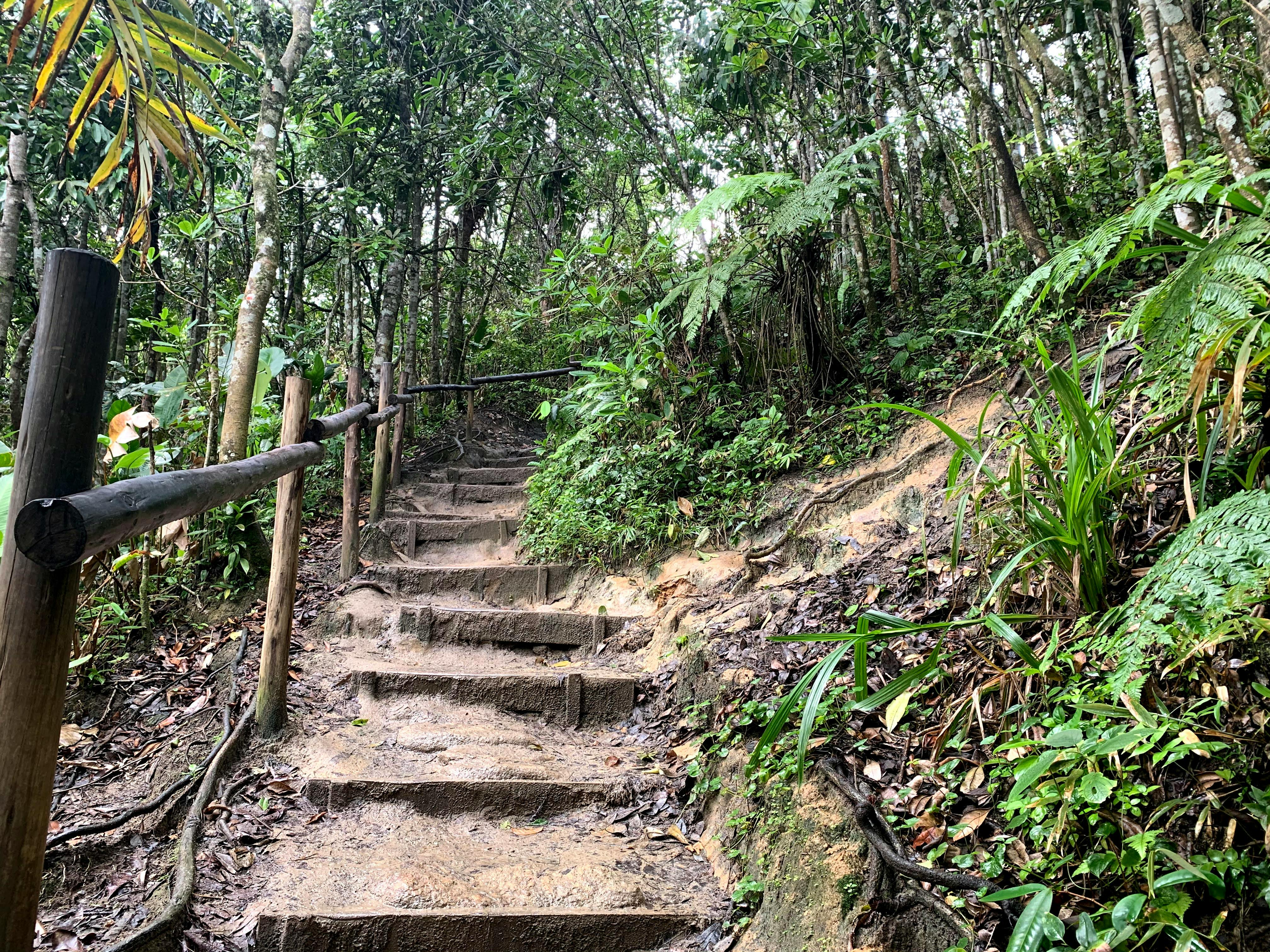 Kodomo Animal Nature Park Walking Path, Cross Country Course