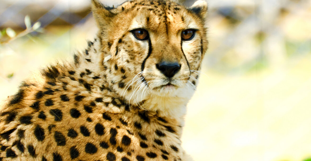 Tama Zoological Park
