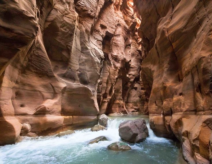 The Canyon (The Siq)