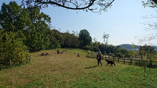 Oyamada Park